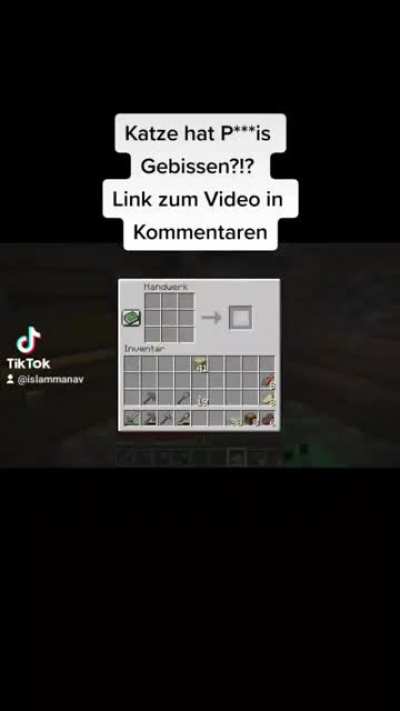 German Youtuber Tells Story how a Cat bit his di*k. Full video in comments.