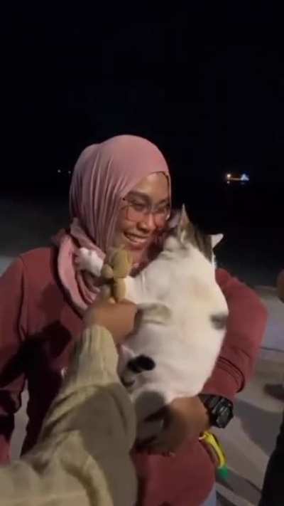 thought she was ready to attack, wait for it...