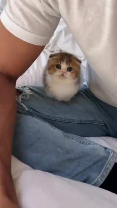 Excuse Me!!