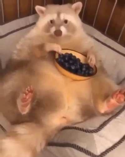 MRW my grandma makes me snacks and I can’t be rude