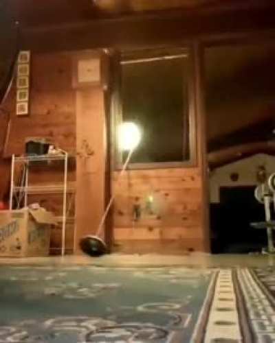 XD