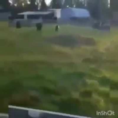 Nao sei se é repost (desculpa se for)
