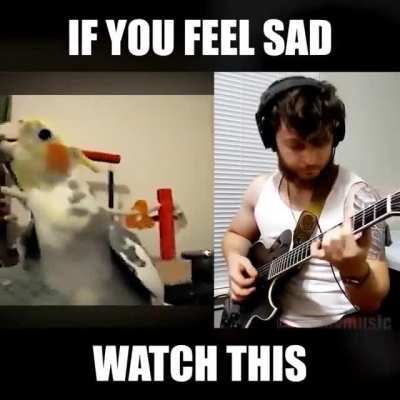 Are you happy
