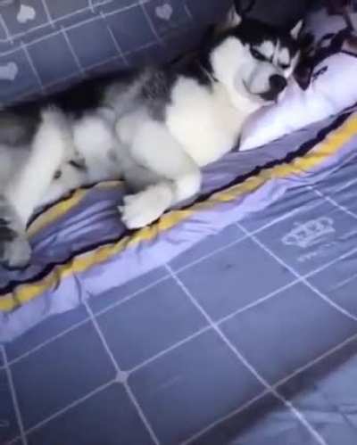 His happy place