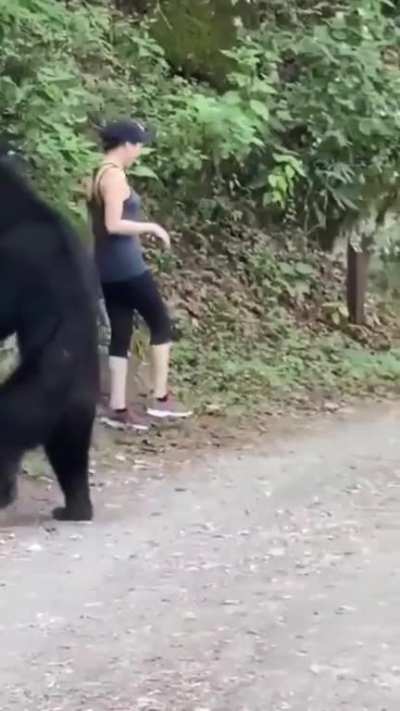 a black bear decides to have a closer look at a girl out for a walk