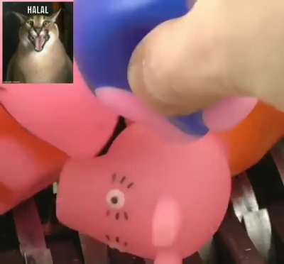 Exterminating Haram ❌🐷 مساعدة ، أنا مغلق حاليا الرجاء إرسال المسا<wbr>عدة