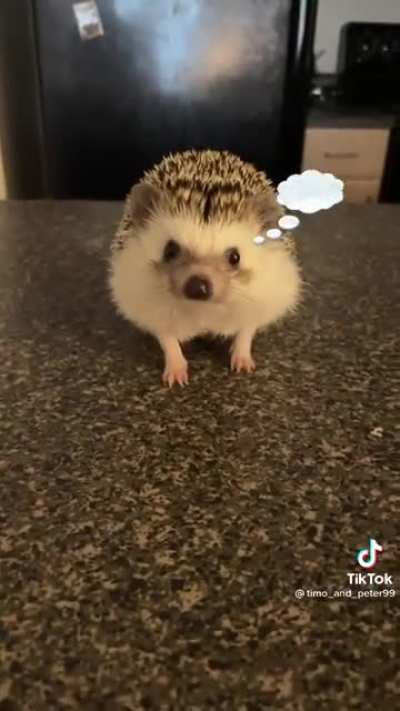 This new filter’s been making me concerned