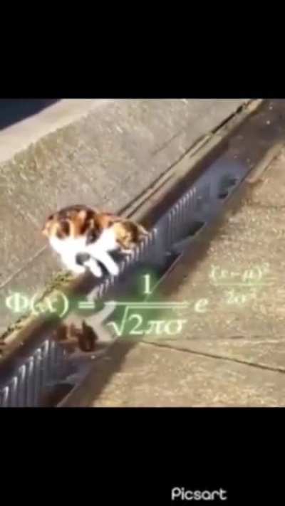 Let me do the math