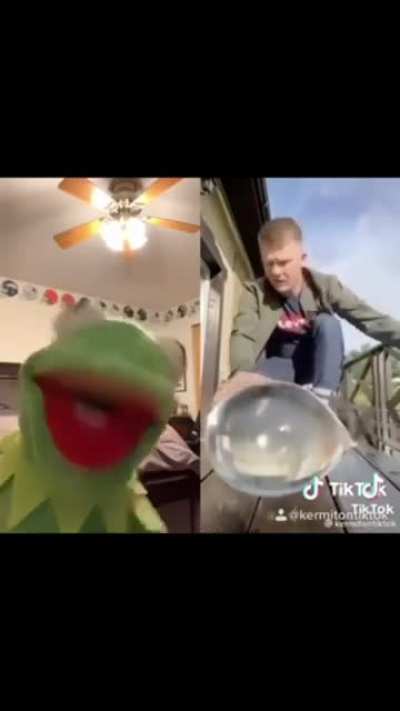 Kermit watching something satisfying