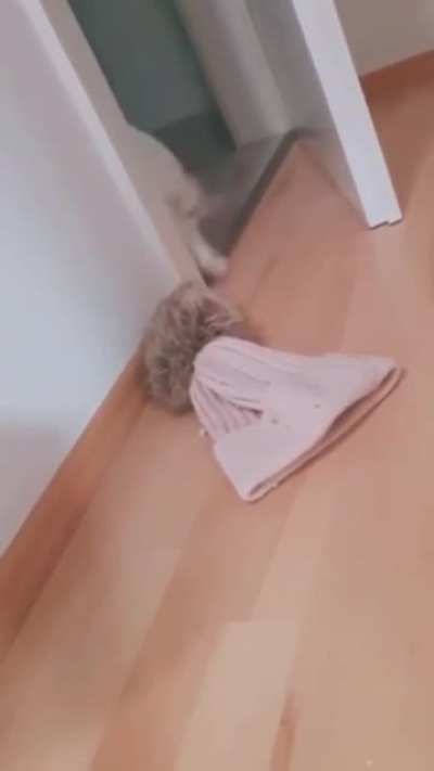 Touch tha Door