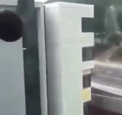 Nice shot