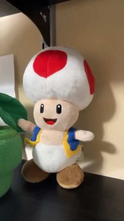 Toad