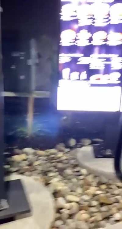 Found on Tik Tok.