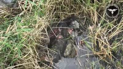 Two Russians tried to pretend to be corpses, but pilots of the Strike Drones Company (47 OMBr) hit them with FPV drones anyway.
