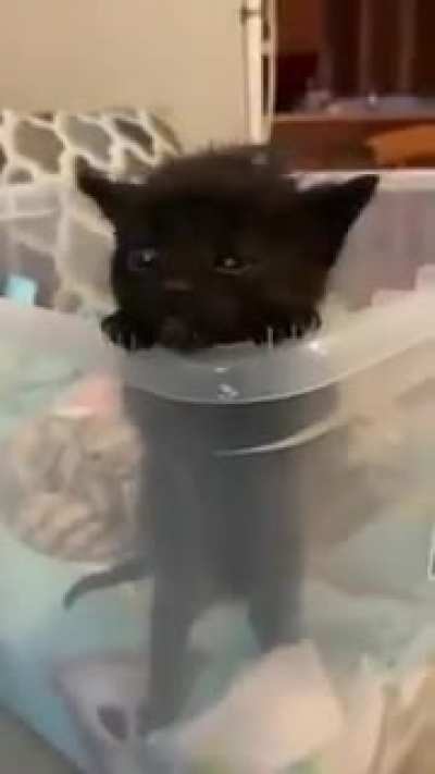 Dangerous void attempts a prison break!