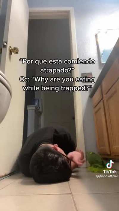 Something about a parrot speaking Spanish just blows my mind.