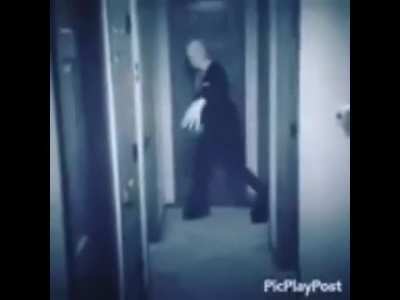 fever dream