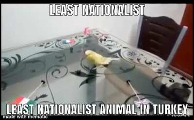 🇹🇷🇹🇷🇹🇷🇹🇷🐺🐺🐺🐺