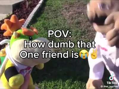 That one dumb friend