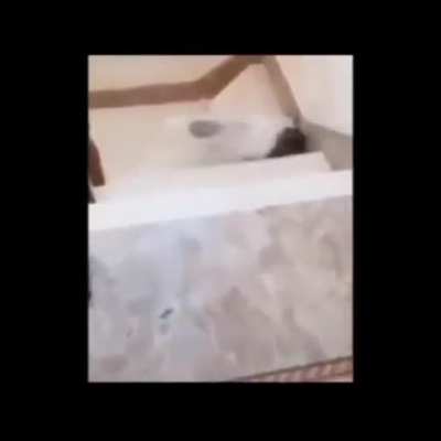 Fell off the stairs!