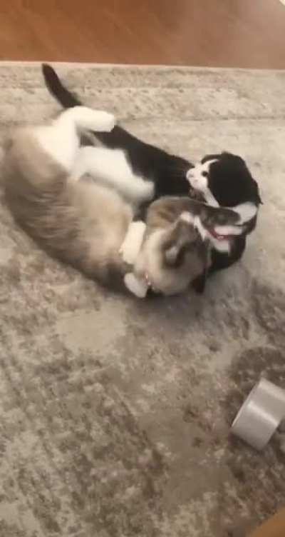 I thought you would all maybe appreciate this 🤣