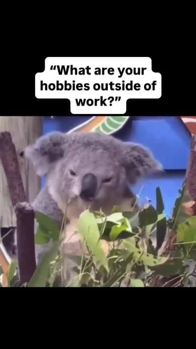 Boss hog