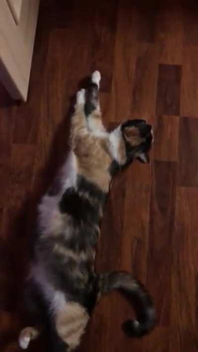 Stretch & trills!