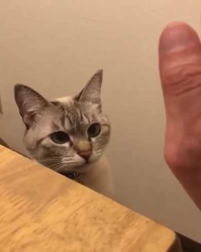 3second video to make your day better