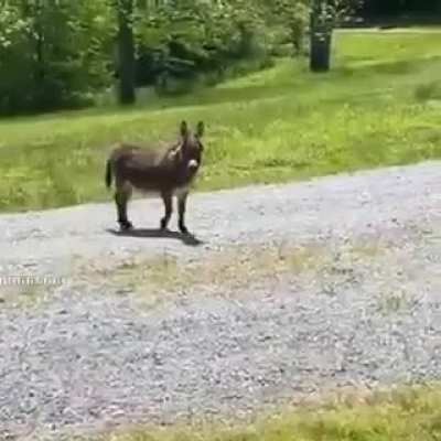 AAAAAAAAAAAAAAAAAAAAA