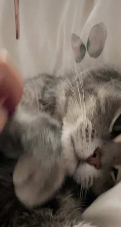 I love waking up with him