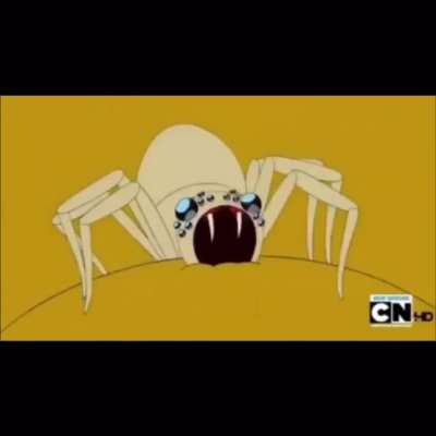 Spiders
