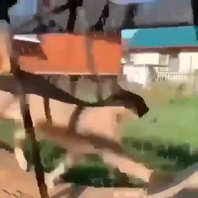 Upvote if funny