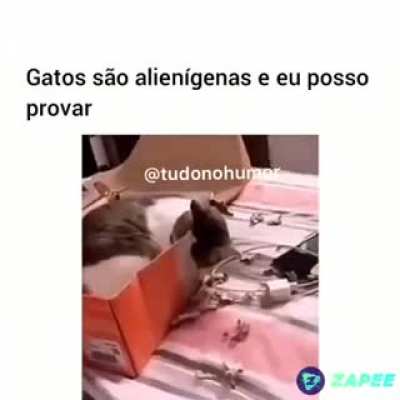 Verdade