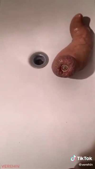 Whatever the fuck this is...