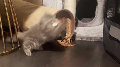 The greebles aren’t taking his mouse (crab exit)