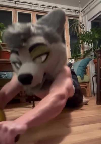 Furry💥irl