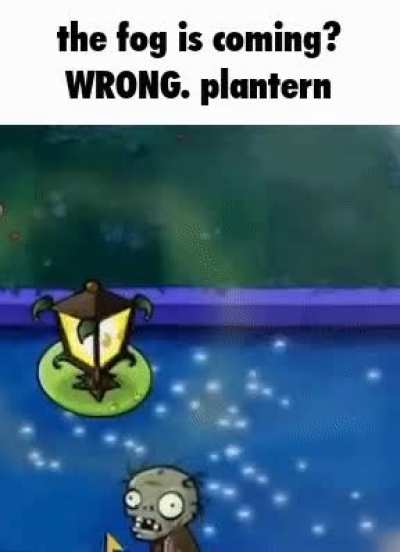 India shouldve just got some planterns
