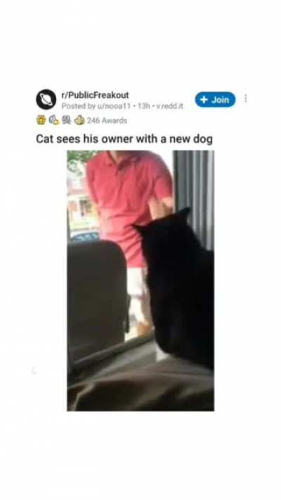 AAAAA AAAAA AAAAA AAAAA