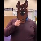 zoinks scoob!