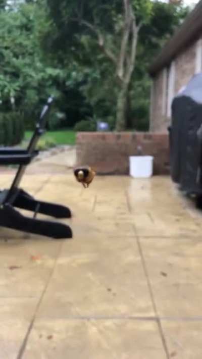 Wait for it...