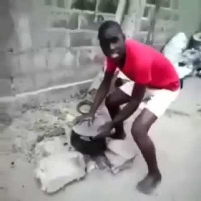 Pega o cachorro