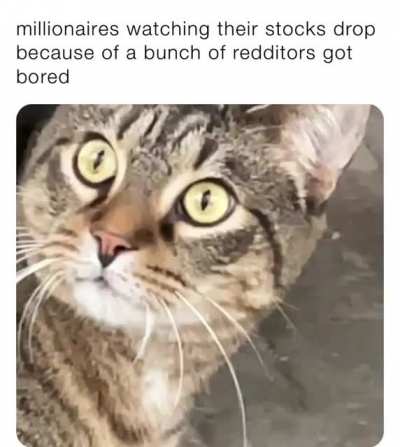 The revolution has begun