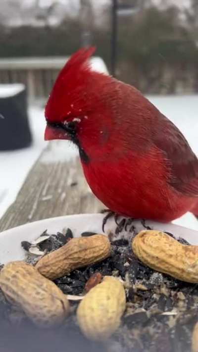 This is mine