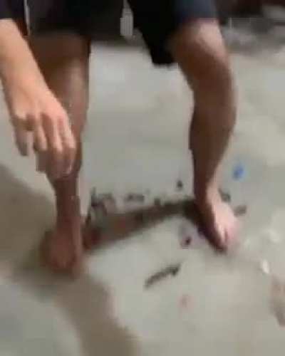 Why ppl do that?
