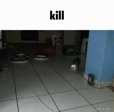 Meowmere