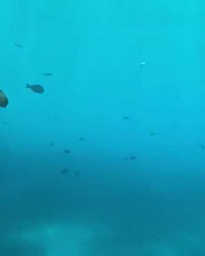 This is an underwater hotel in Maldives