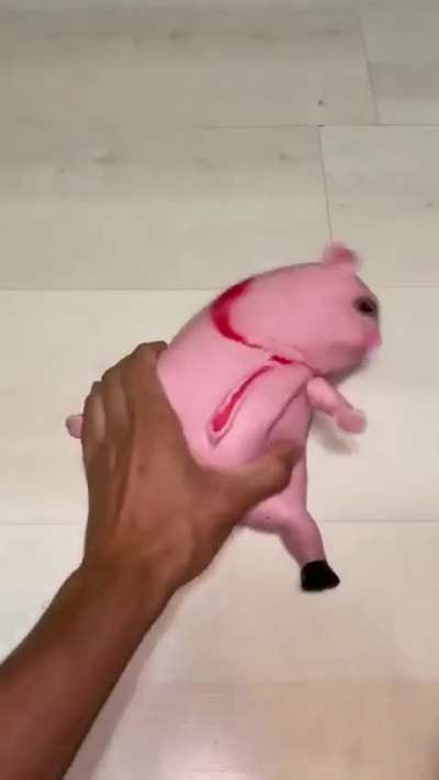 Can you guess what's inside this Piggy? 
