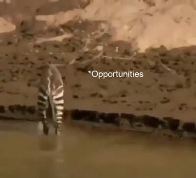 meirl
