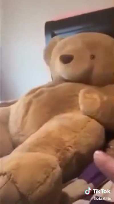 Big Teddy