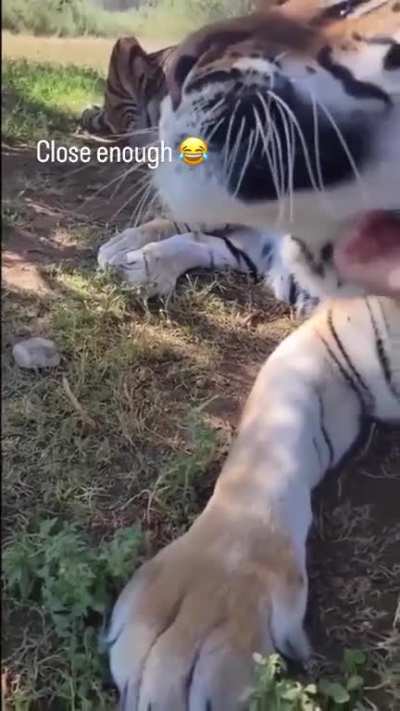 Big boi